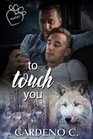 To Touch You by Cardeno C.